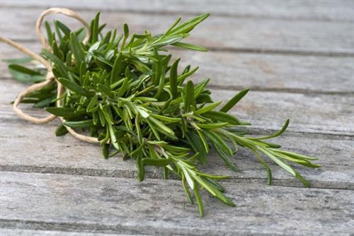 Goat Milk Soap: Rosemary EO with Calendula Petals